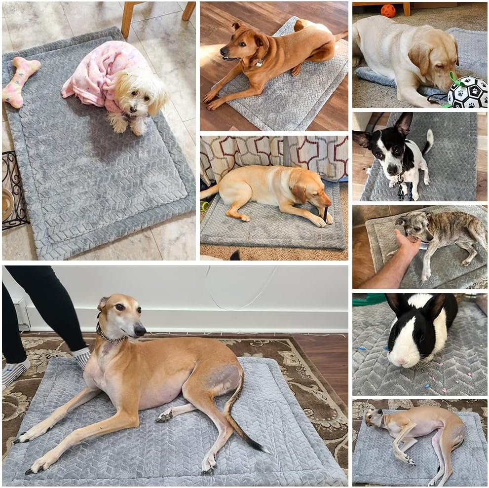 BEAUTYZOO Dog Bed Crate Pad 30 x 20 inch, Washable Dog Crate Mat for Medium Sized Dogs, Anti-Slip Pet Crate Bed Kennel Pad, Durable Cozy Puppy Sleeping Mat Rectangle Mattress, Grey