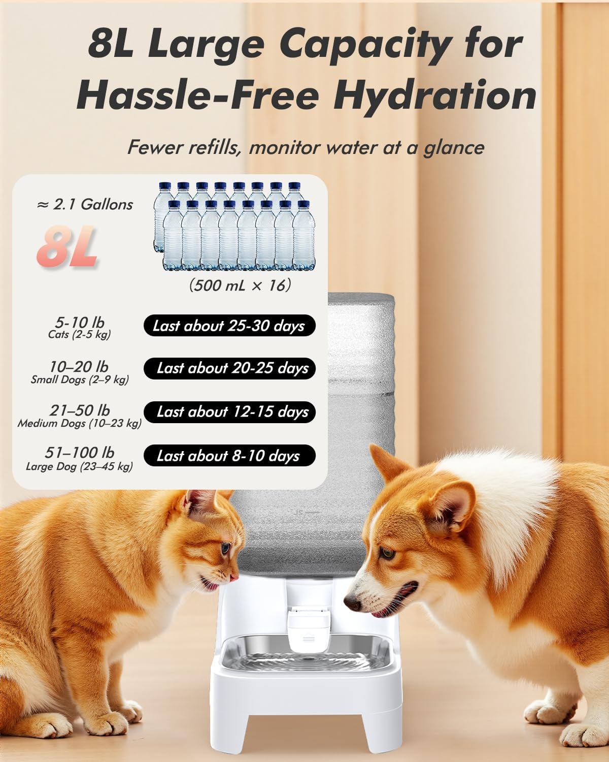 Automatic Dog Water Bowl Dispenser - 8L Gravity Cat Water Dispenser with Elevated Stainless Steel Bowl, Patented Valve, BPA-Free, Easy to Clean Pet Waterer with Filter for Small & Medium Dogs and Cats