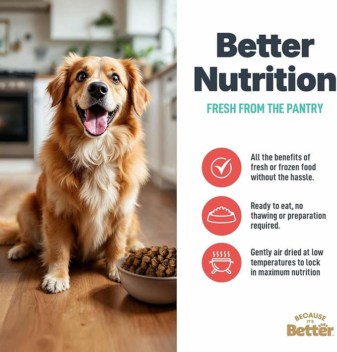 Because it's Better Slow Baked and Air Dried Dog Food, Real Beef and Veggies, 3lb Bag, Complete and Balanced Dry Dog Food, for All Life Stages