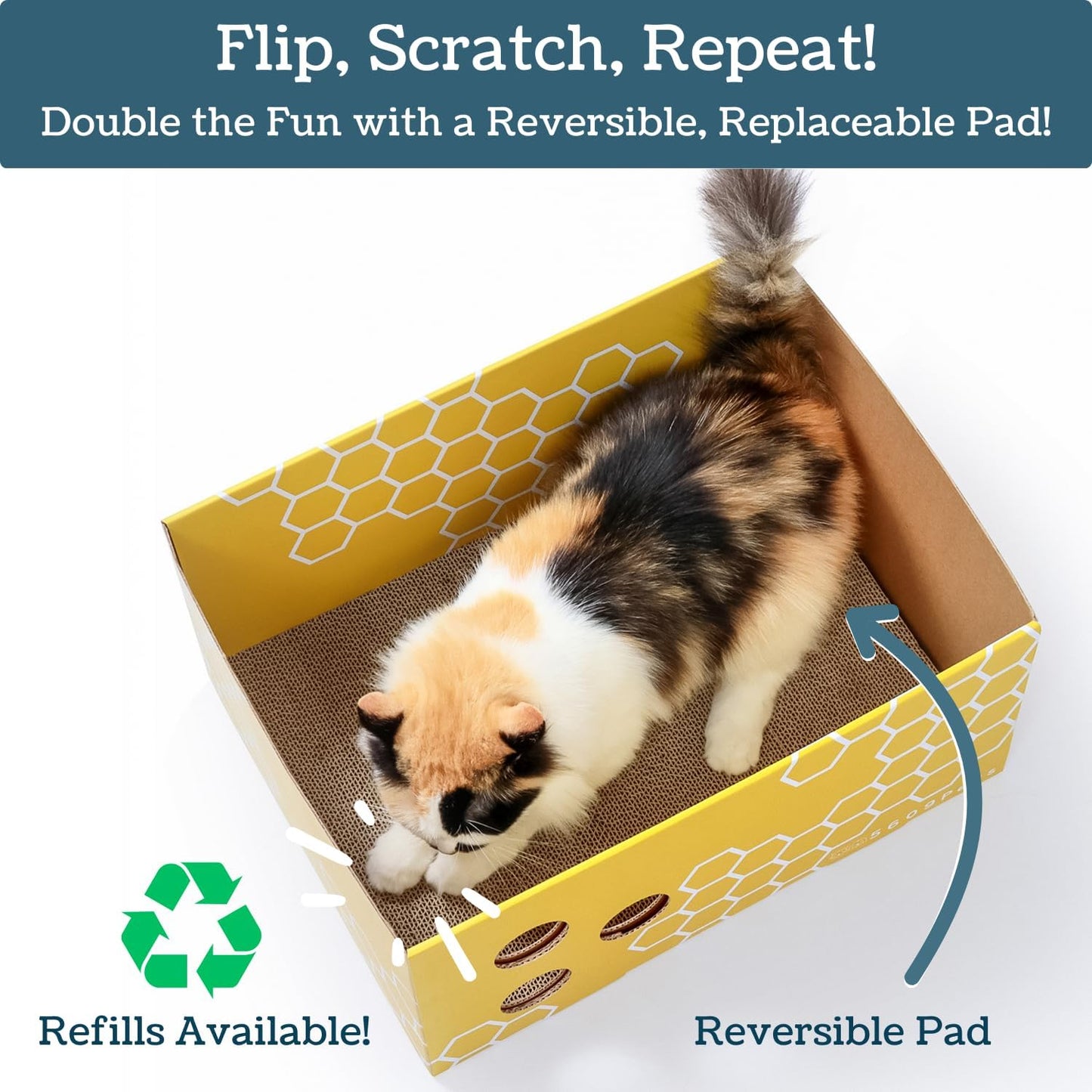 Heavy Duty Cardboard Cat Scratcher Box with Refillable Double-Sided Cat Scratching Board for Indoor Cats