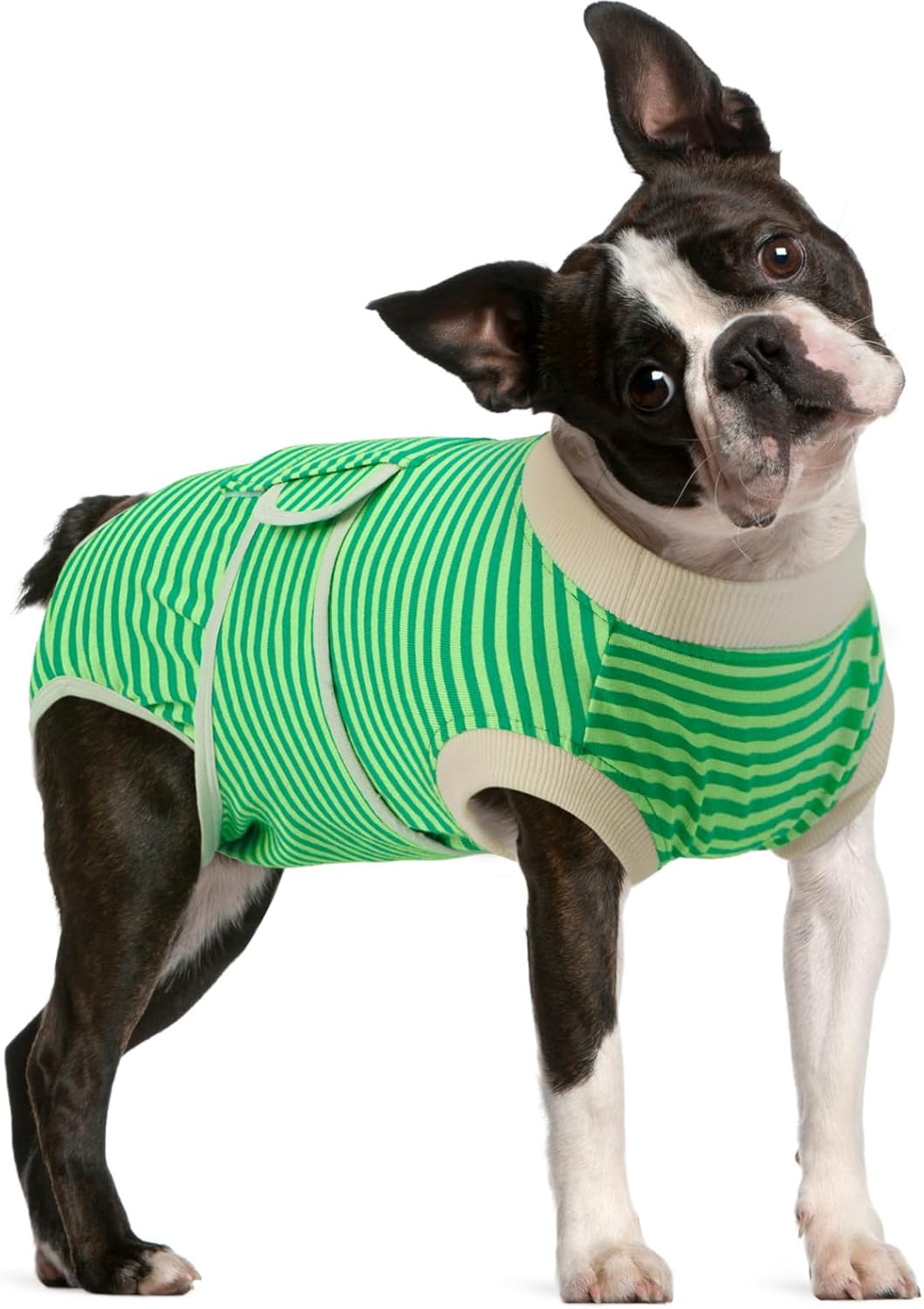 FUAMEY Dog Recovery Suit Male,Dogs Surgery Neuter Suits Puppy Spay Shirts for Female Protect Dog's Skin Anti Licking Abdominal Wounds Doggie Onesie Pet Bodysuit Alternative to Cone Green Stripes L