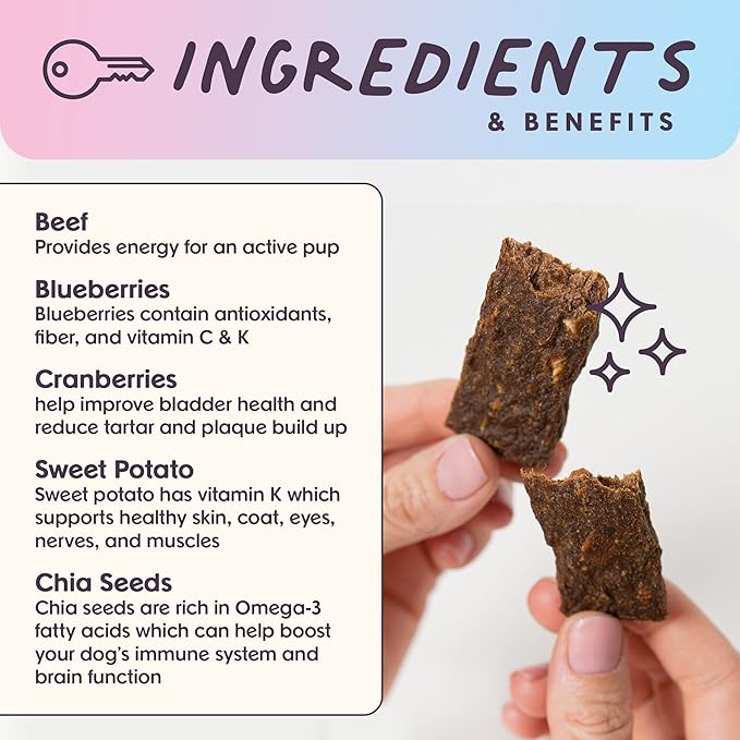 Superfood Dog Treats Salmon, Chicken or Beef Jerky Bars - Dog Treats for Snacks and Training – Made in USA - No Corn, Wheat or Soy – Poultry Free (5 Ounces, Beef)