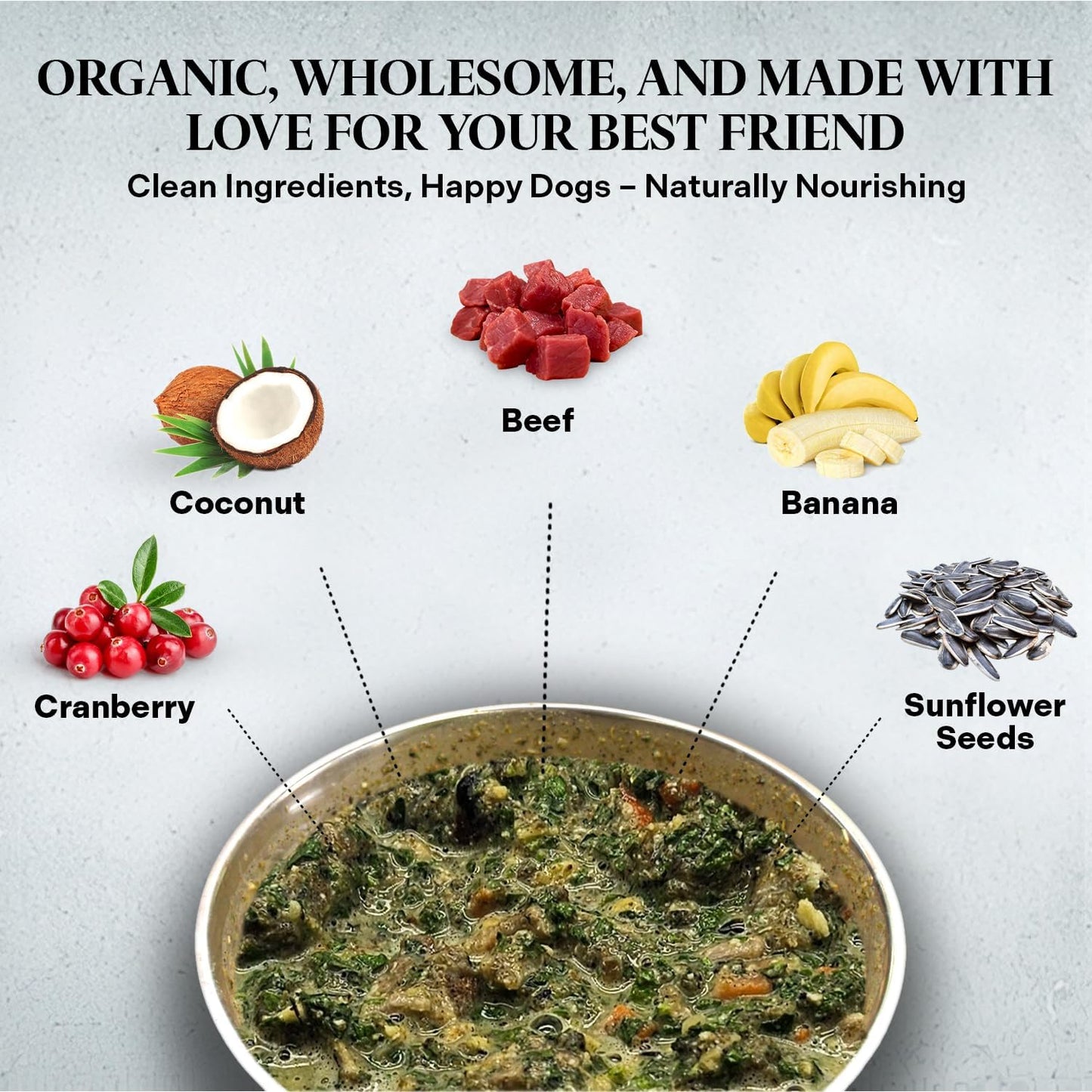 Healthy Dogma - Homestyle PetMix Dehydrated Dog Food with Beef & Raw, Clean Ingredient - No Preservatives, Homemade Dog Food (Homestyle PetMix with Beef, 10 lbs)