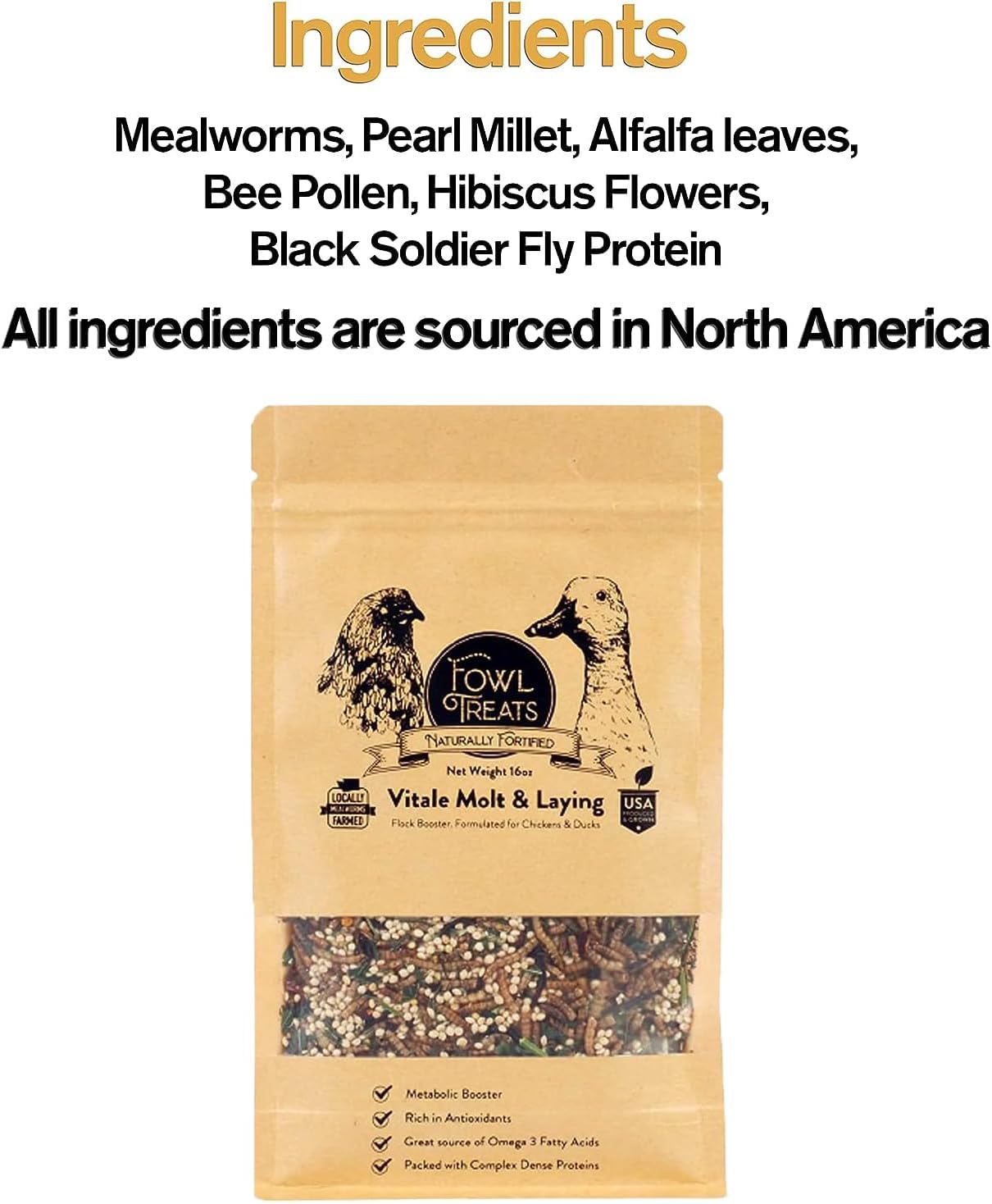 Naturally Fortified Flock Booster - Concentrated Protein and Flora Supplements Suitable for Hens and Ducks, Hand Mixed USA Grown Ingredients – Vitale Molt & Laying – 16oz