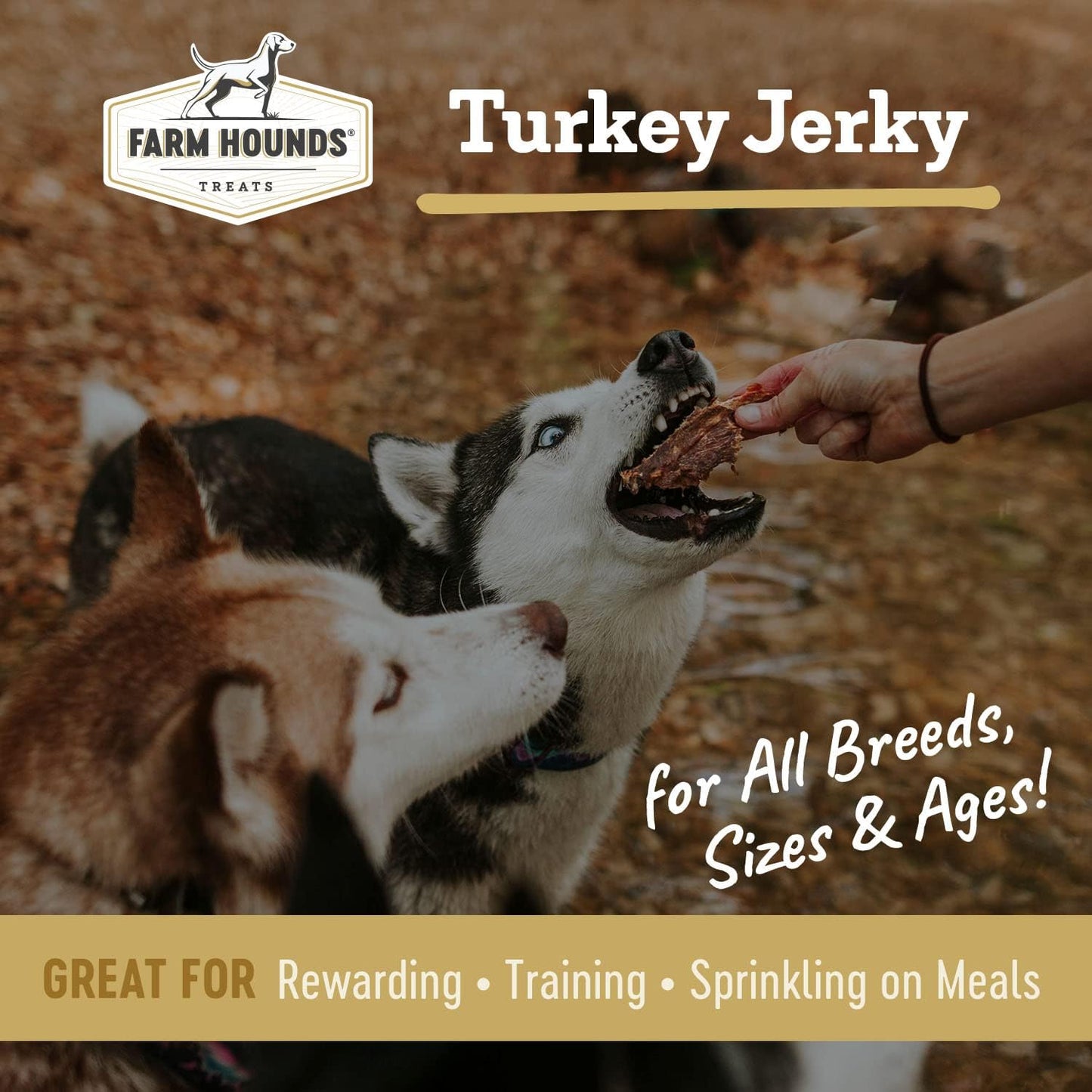 Farm Hounds - Turkey Jerky - Premium Natural Jerky for Dogs - 100% Humanely Raised Turkey - Break-to-Size - Great for Training & Treats - No Added Fillers - Made in USA - 1 Pack