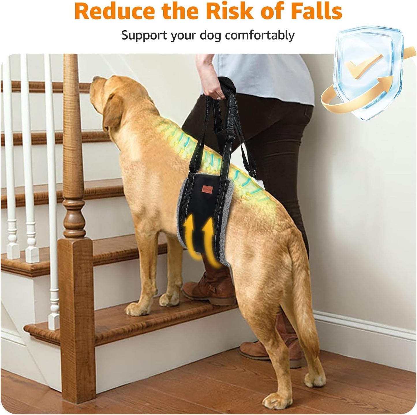 LOOBANI Portable Dog Sling for Back Legs, Hip Support Harness to Help Lift Dogs Rear for Canine Aid and Old K9 Cruciate Ligament Rehabilitation