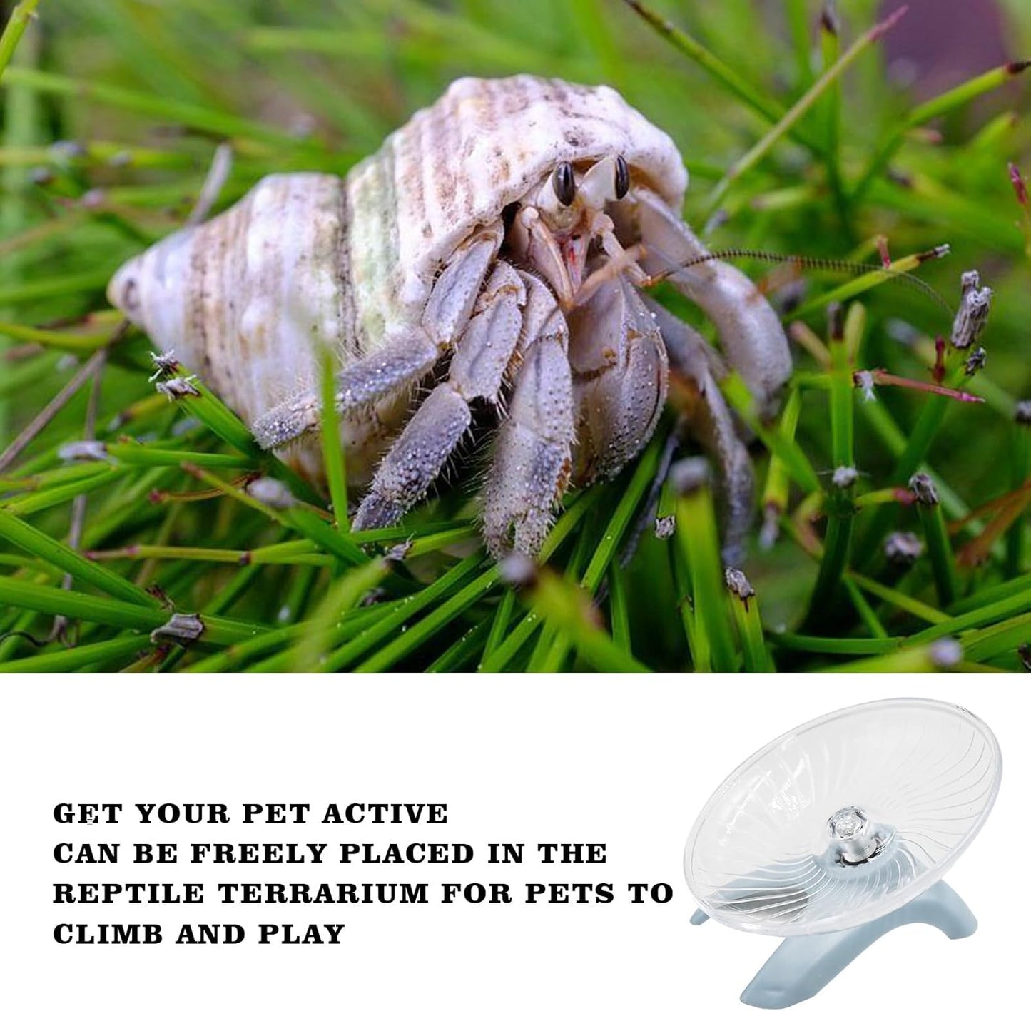 Hermit Crabs Wheel Toy, Hamster Running Wheel Toys, Small Animals Cage Accessory, Tank Accessory, Suitable for Hermit Crab Hamster Rat