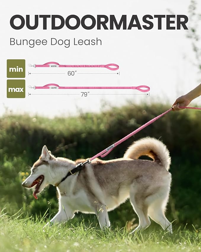 OutdoorMaster Bungee Dog Leash, Heavy Duty Dog Leash with Shock Absorption, 2 Padded Handles Training Leash, Improved Dog Safety and Comfort (Pink, 6 FT)