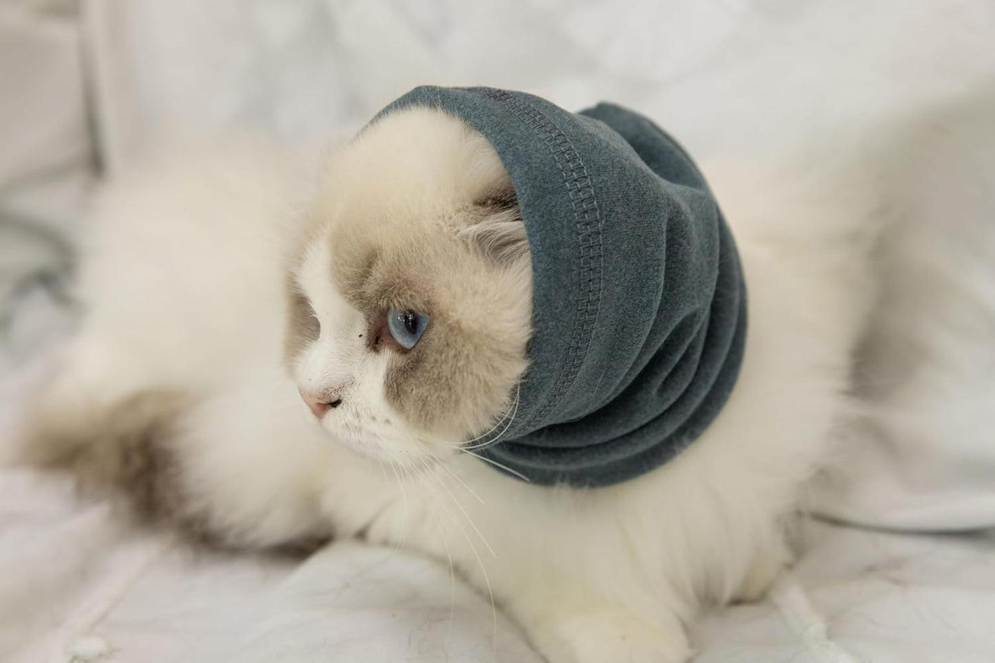 Cat Bath Accessories,Ear Wrap Pinpoint Mesh Anxiety Relief, Bath Accessories for Pet Grooming & Force Drying (Green S)