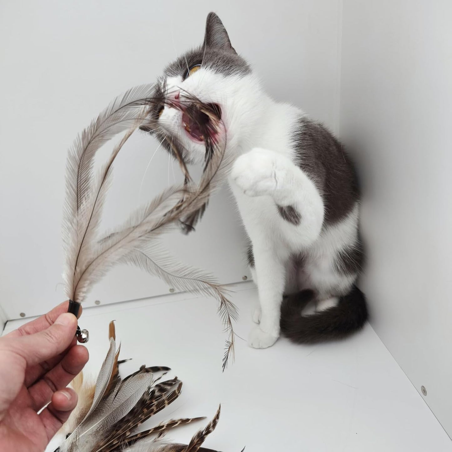 Natural unstained Feathers,8PCS Cat Feather Toys Replacement Wand Toy Refills, Cat Feathers Refill for Indoor Cats,Perfect Wand Attachments