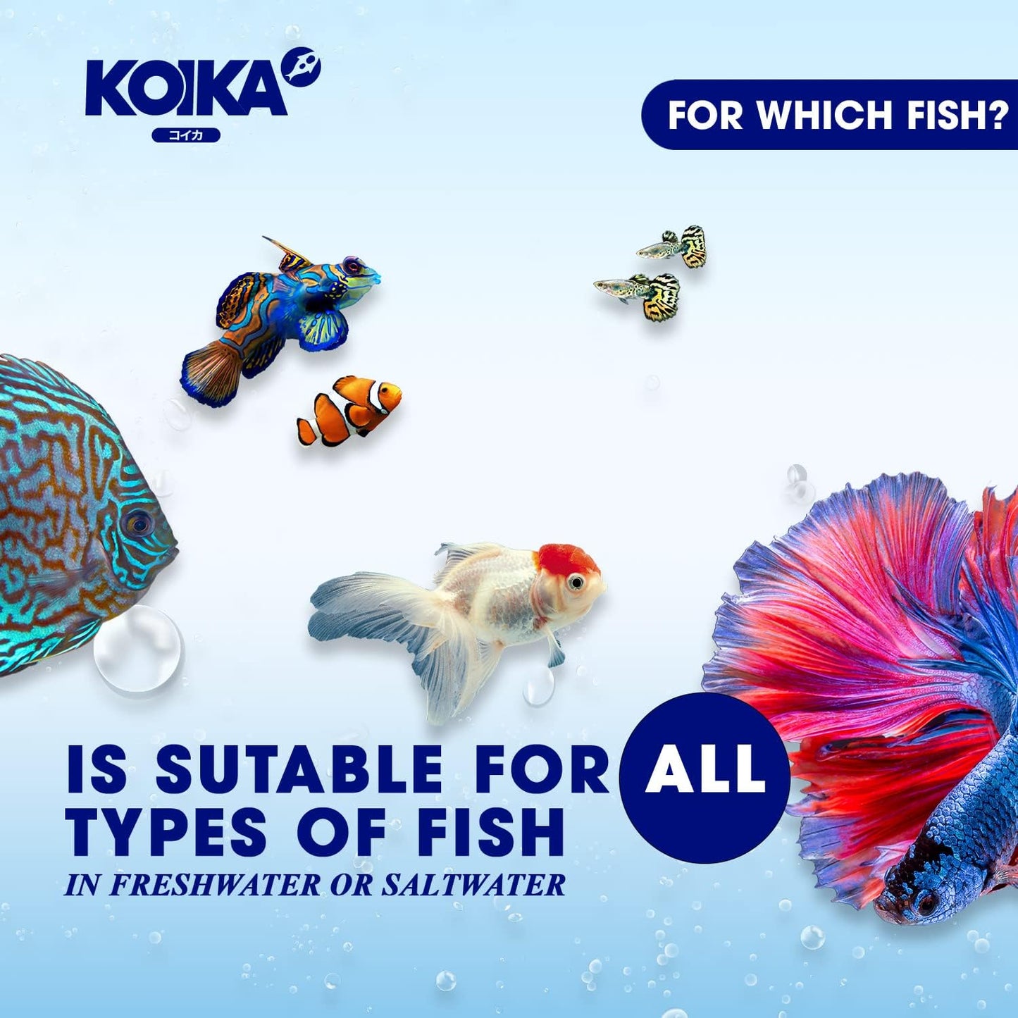 KOIKA BACM Natural Color Enhancement for Fish, Combination of Probiotic & Multi-Vitamins for Aquarium A, B6, B2, Pleasant Smell (BACM, 105ml)