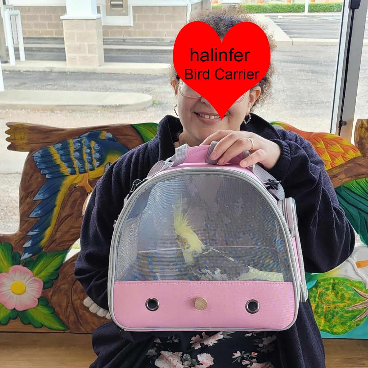 Bird Carrier, Portable Small Bird Parrot Parakeet Carrier with Standing Perch and Soft Support Mat, Side Access Window Collapsible (Grey, Mesh Windows)