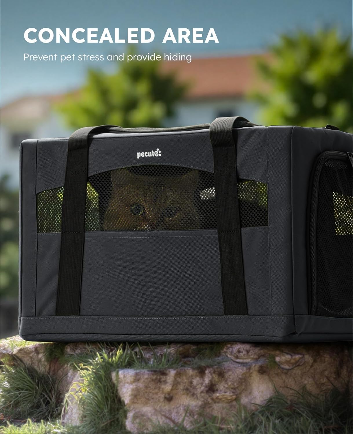 pecute Cat Carrier Stable, Pet Carrier Breathable and Portable, Cat Carriers Bag with Scientific Hidden Partition, Carriers for Cat Under 5kg, Dog Carriers Suitable for Travel and Outing, Dark Gray