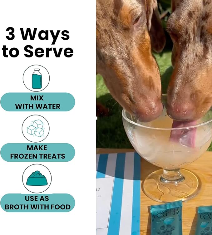 Advanced Joint & Hydration Supplement for Dogs – Vet-Approved - Soluble Powder with Collagen, Electrolytes, 7 Active Nutrients & Vitamins – Chicken Broth Flavor (Up to 8 Weeks Supply)