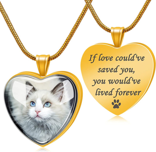 Farfume Personalized Pet Urn Necklace for Dog Cat Ashes Cremation Pet Memorial Customized Photo Text Engraving Pendant Keepsake Funeral Jewelry