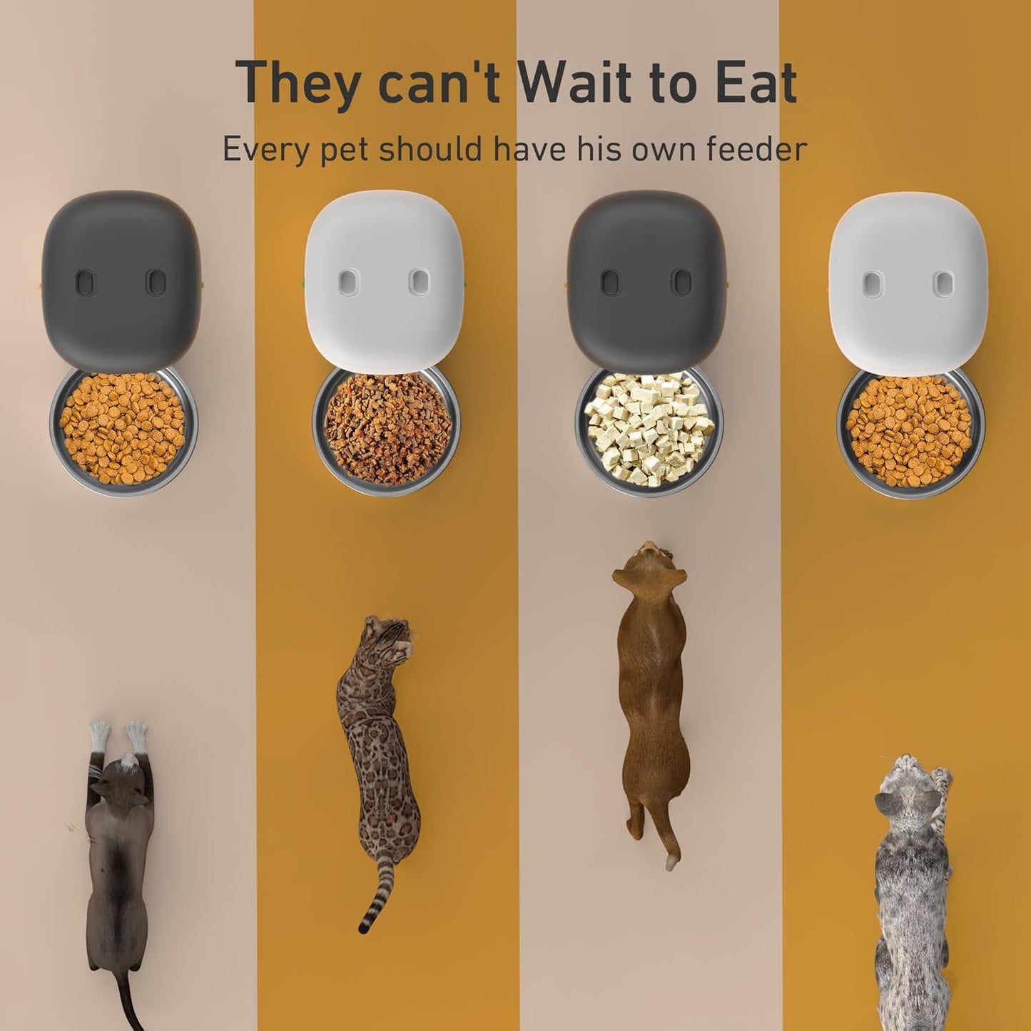 Automatic Cat Feeders - 3L Cat Food Dispenser Easy to Use, Timed Automatic Pet Feeder with Over 180-day Battery Life, 1-6 Meals Dry Food Programmable Portion Control Also for Dogs