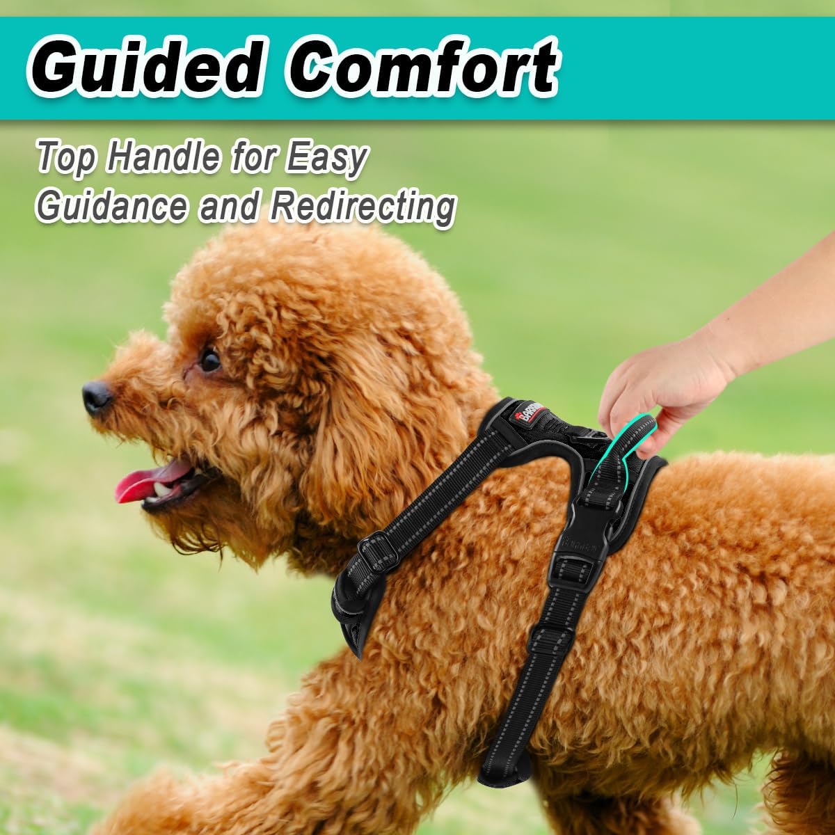 BARKBAY Dog Harness No Pull for Small Dogs - Adjustable, Reflective, Comfortable, No Choke, Heavy-Duty - Perfect for Outdoor Training, Walking, and Hiking - Strong & Durable - XS & Black