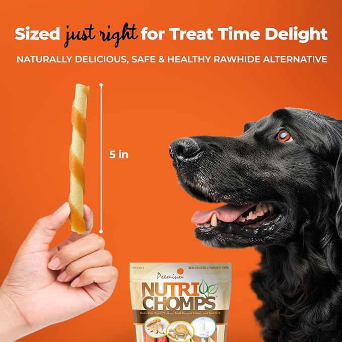 NutriChomps Dog Chews 5-inch Twists, Easy to Digest, Rawhide-Free Dog Treats, 10 Count, Real Peanut Butter flavor (Packaging May Vary)