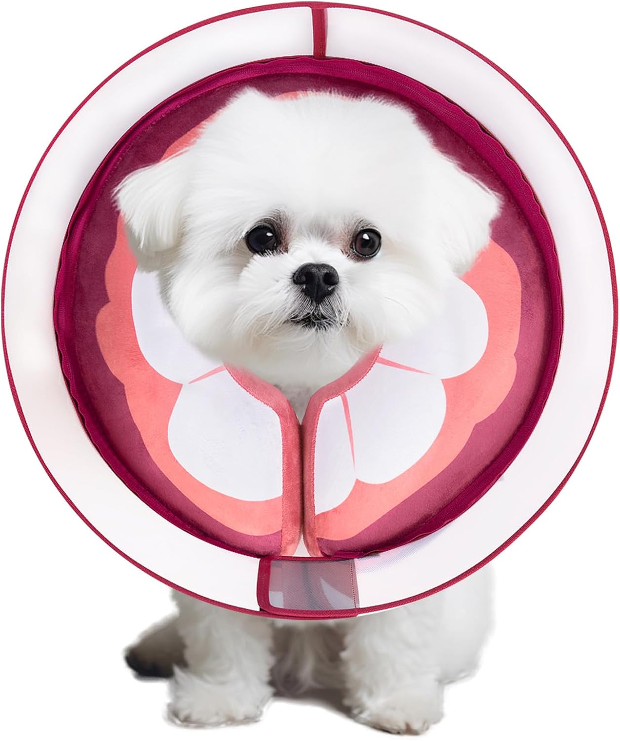 Inflatable Dog Cone Collar for Large Medium Small Dogs, Soft Dog Donut Collar Adjustable Recovery Cone for Pets After Surgery, Extra Enhanced Anti-Licking Guard Shield (Mangosteen, Medium)