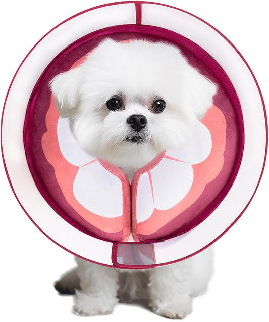 Inflatable Dog Cone Collar for Large Medium Small Dogs, Soft Dog Donut Collar Adjustable Recovery Cone for Pets After Surgery, Extra Enhanced Anti-Licking Guard Shield (Mangosteen, Medium)