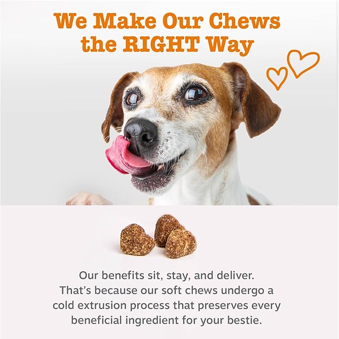 Zesty Paws Salmon Oil for Dogs Skin and Coat, Omega 3 Fish Oil Chews, Dog Allergy Relief Chews, Itch Relief Supplement, 90 Count, Salmon Flavor