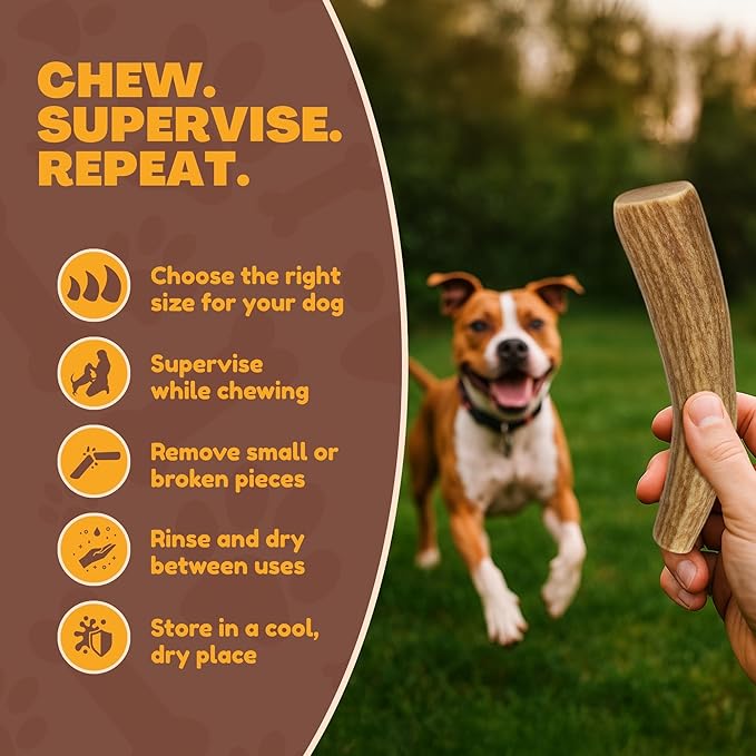 Whitetail Naturals - 3 Pack Medium - Deer Antler Dog Chews - Antlers for Medium Dogs - Long Lasting, Naturally Shed Antler Dog Bones