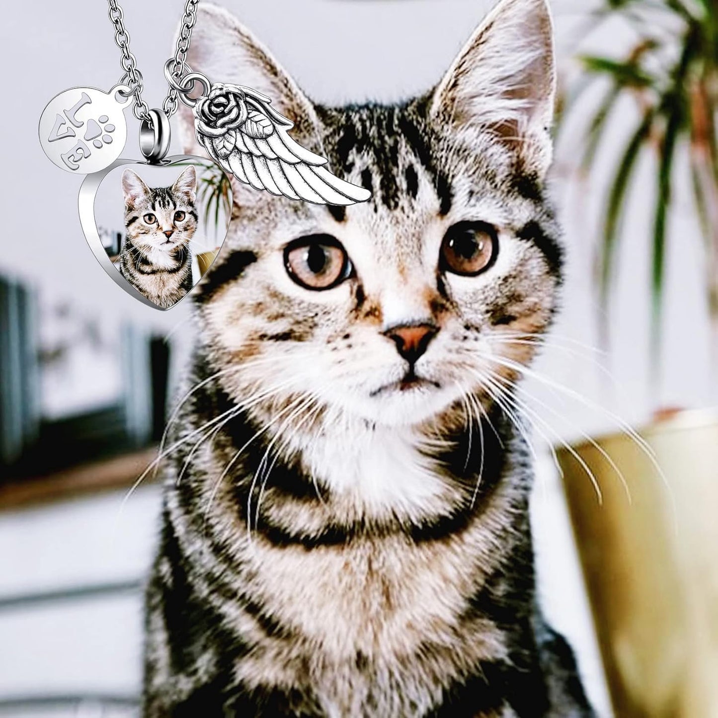 Personalized Urn Necklace for Pet Ashes Custom Photo/Name/Date Paw Print Pendant for Women Men Cremation Jewelry Memorial Keepsake for Dog/Cat/Pet Urn Necklace with Funnel Fill Kit