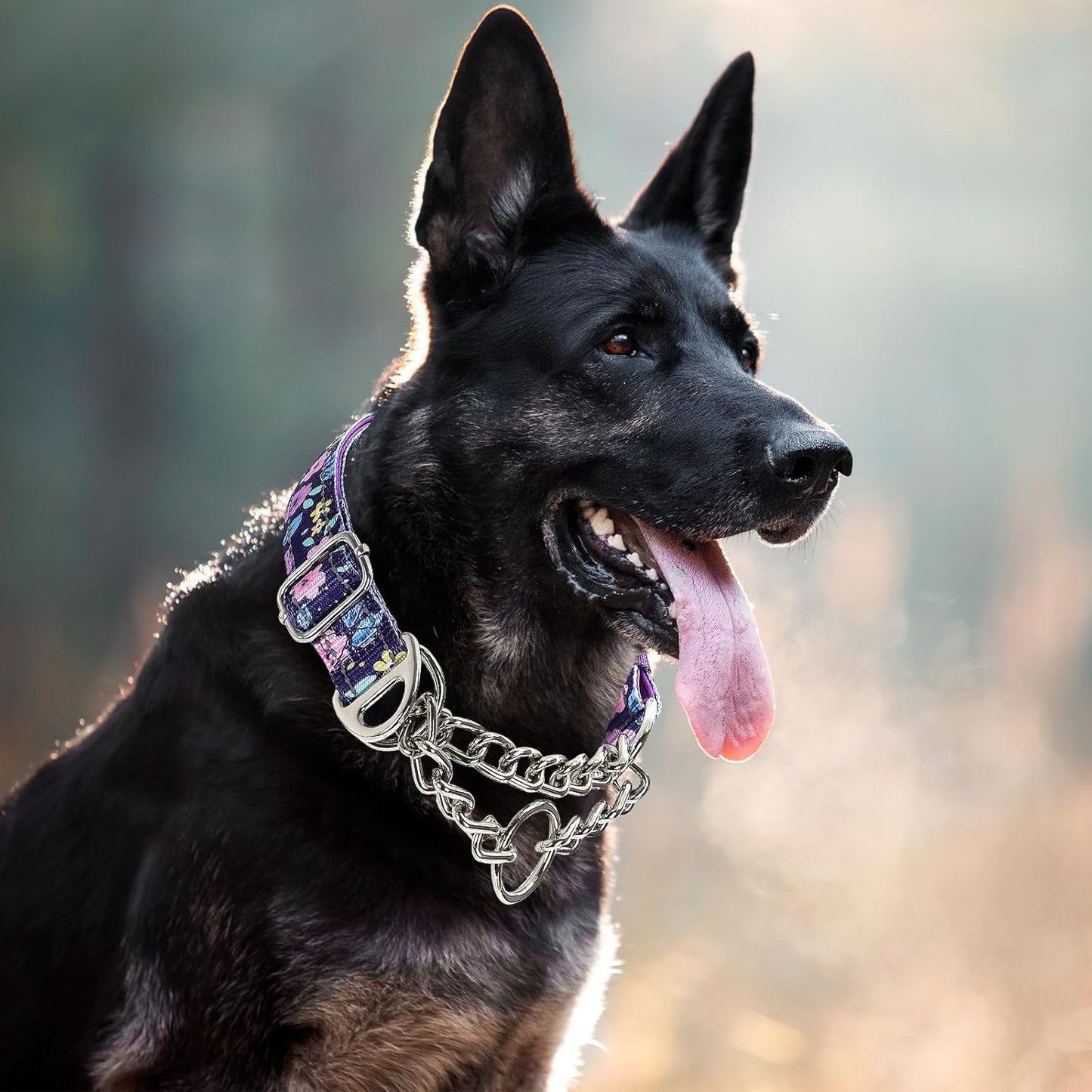 Martingale Dog Collar with Steel Chain, Adjustable Reflective Nylon & Soft Padded - for Medium, Large, XL, XXL Dogs for Training,Walking Pet Collar (Purple Flowers XL)