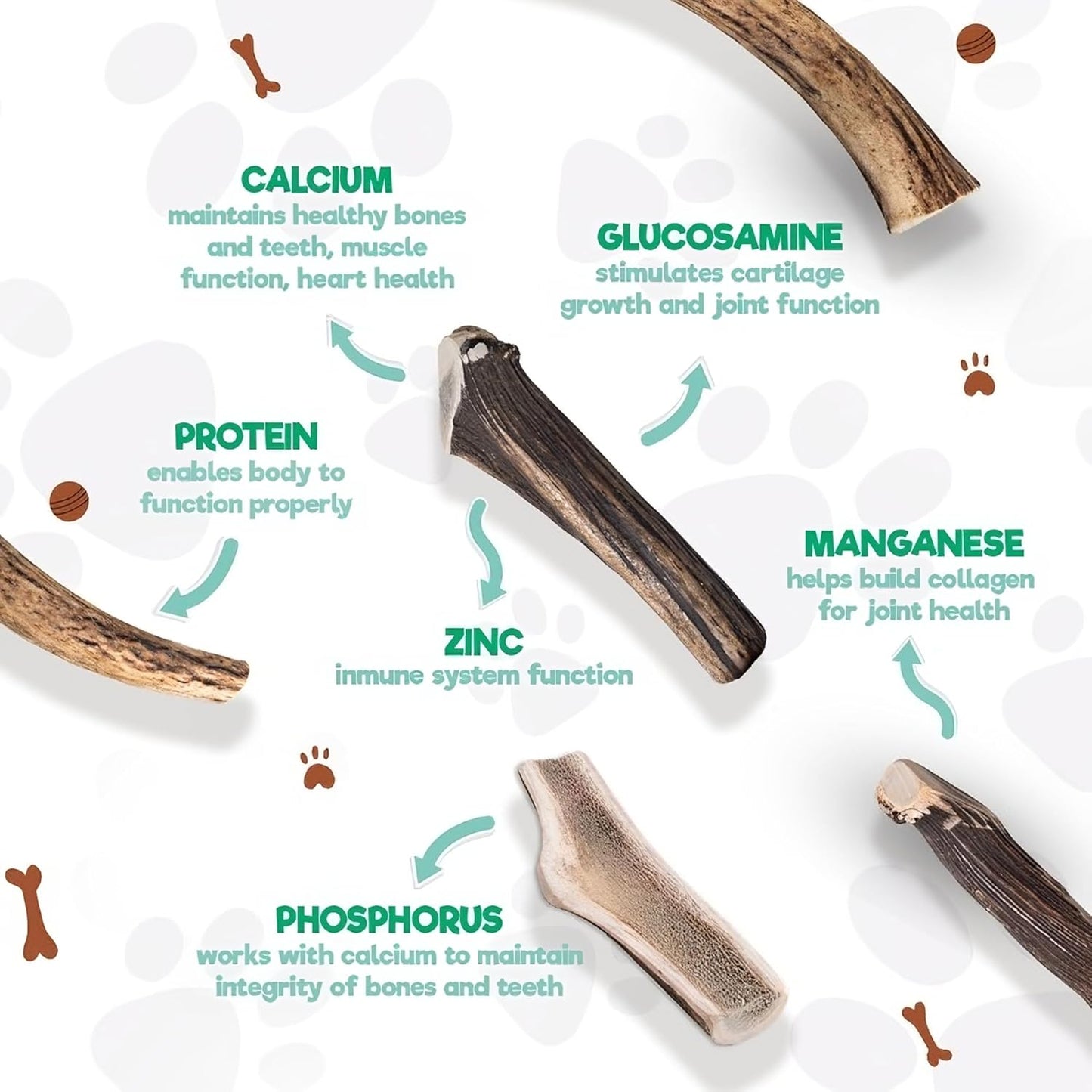 Jack&Pup Whole Elk Antlers for Dogs Large | Naturally Shed Rawhide Free Dog Chews Long Lasting Elk Horns for Dogs | Dog Antlers for Aggressive Chewers (1 Small Antler)