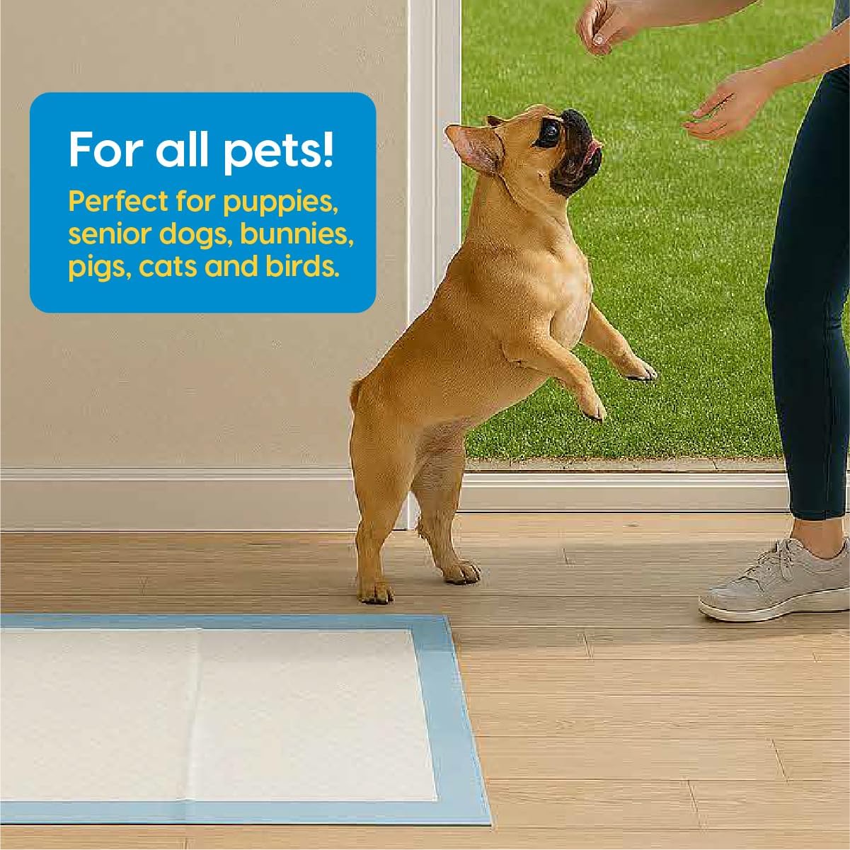 Animal Planet PETS Puppy Pads - Large 22"x22" – 30 Count | Pee Pads for dogs - Leak-Proof and Fast-Absorbing Training Pads - puppy essentials - wee wee pads for Dogs