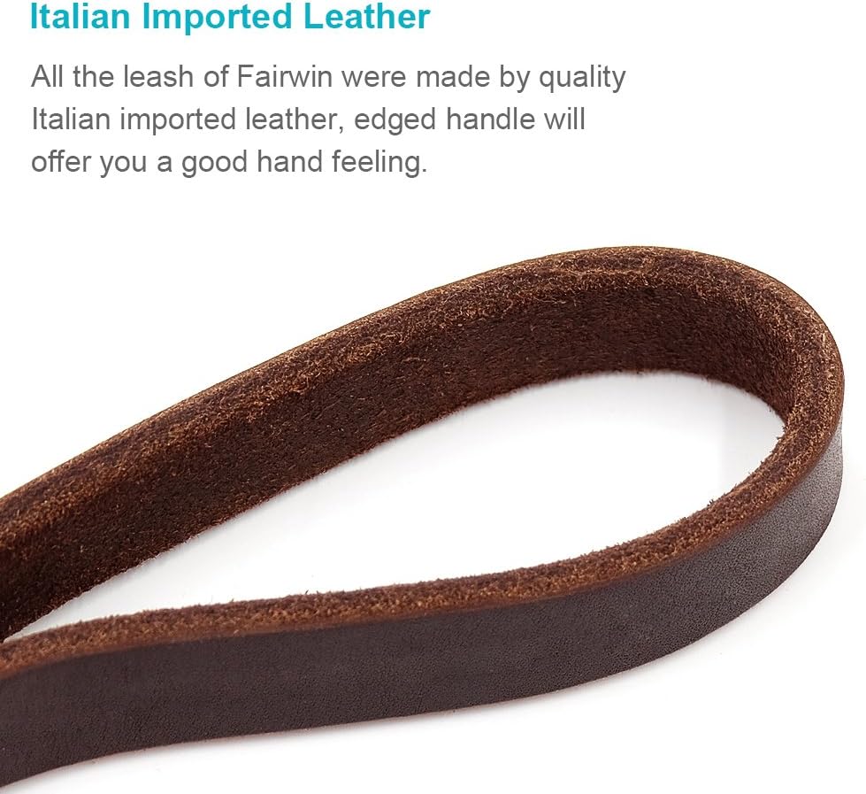 FAIRWIN Leather Dog Leash 6 Foot - Dog Training Leash Heavy Duty Dog Lead for Large Medium Small Dogs (M - 6 ft x 5/8 inch, Reddish Brown)