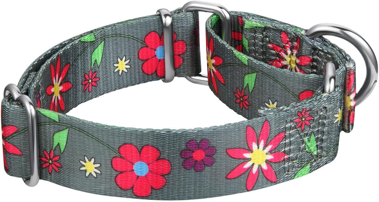 Martingale Collar Floral Print Dog Collar - No Pull Pet Collar, Heavy Duty Adjustable Dog Collar, Large, Neck 17 Inch -25 Inch, Sun Flower (Graphite Grey)