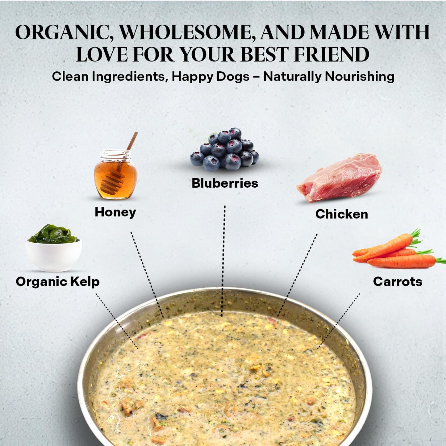 Healthy Dogma - PetMix Dehydrated Dog Food for Allergies - Grain Free, Freeze Dried, Raw, Homemade Dog Food (Chicken Dinner, 10 lbs)