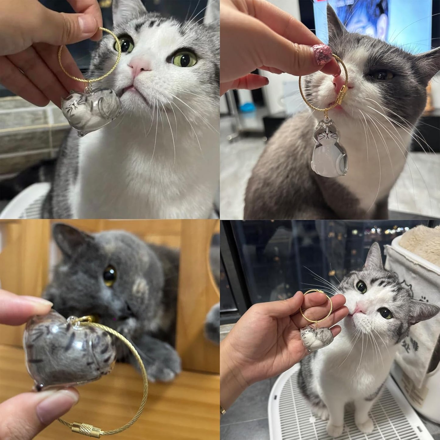 6 Pcs Cat Fur Charm Keepsake Keychain Pet Hair Memorial Capsule Portable Acrylic Memory Pendant for Cat Lovers