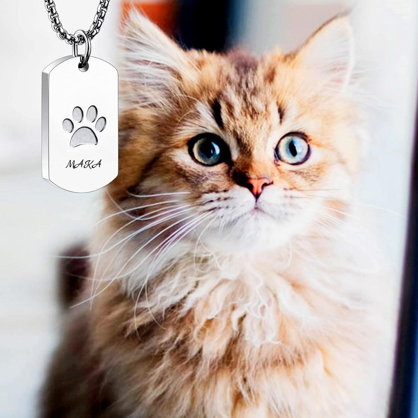 Personalized Urn Necklace for Pet Ashes Custom Photo/Name/Date Paw Print Pendant for Women Men Cremation Jewelry Memorial Keepsake for Dog/Cat/Pet Urn Necklace with Funnel Fill Kit