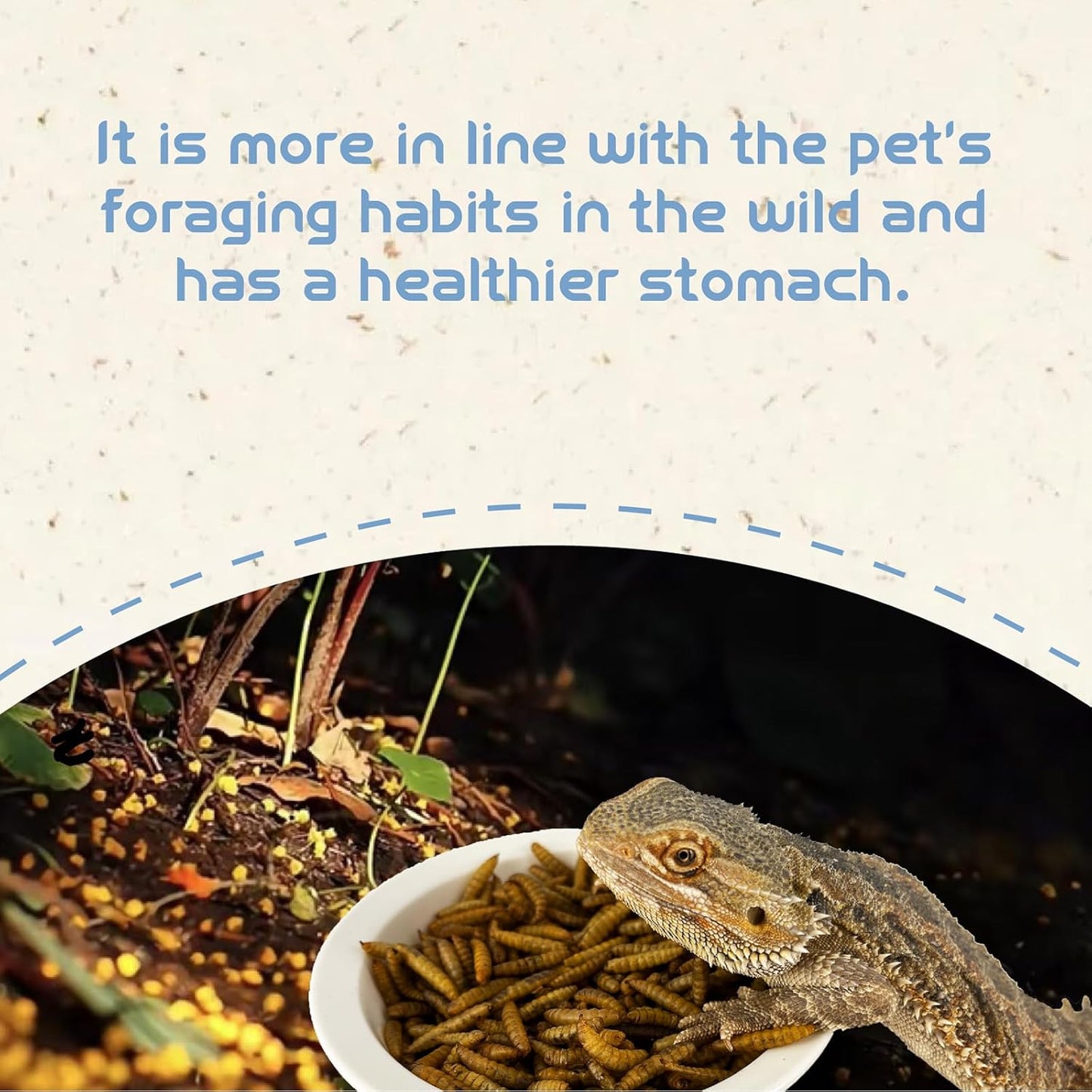 Dried Black Soldier Fly Larvae BSFL High-Protein Natural Pet Food for Lizards, Hamsters, Chickens & Ducks Pet Snack (1LB)