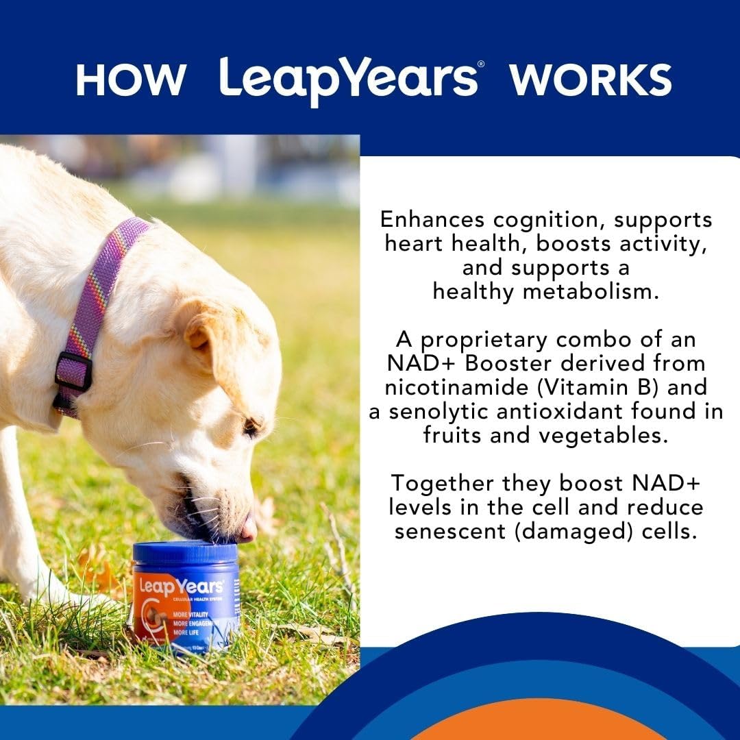 Leap Years Soft Chew Dog Supplement – Supports Healthy Aging, Cognition & Vitality; Veterinarian-Formulated for Brain, Heart & Muscle Health; Powerful NAD Booster & Senolytic Formula, Patent-Pending