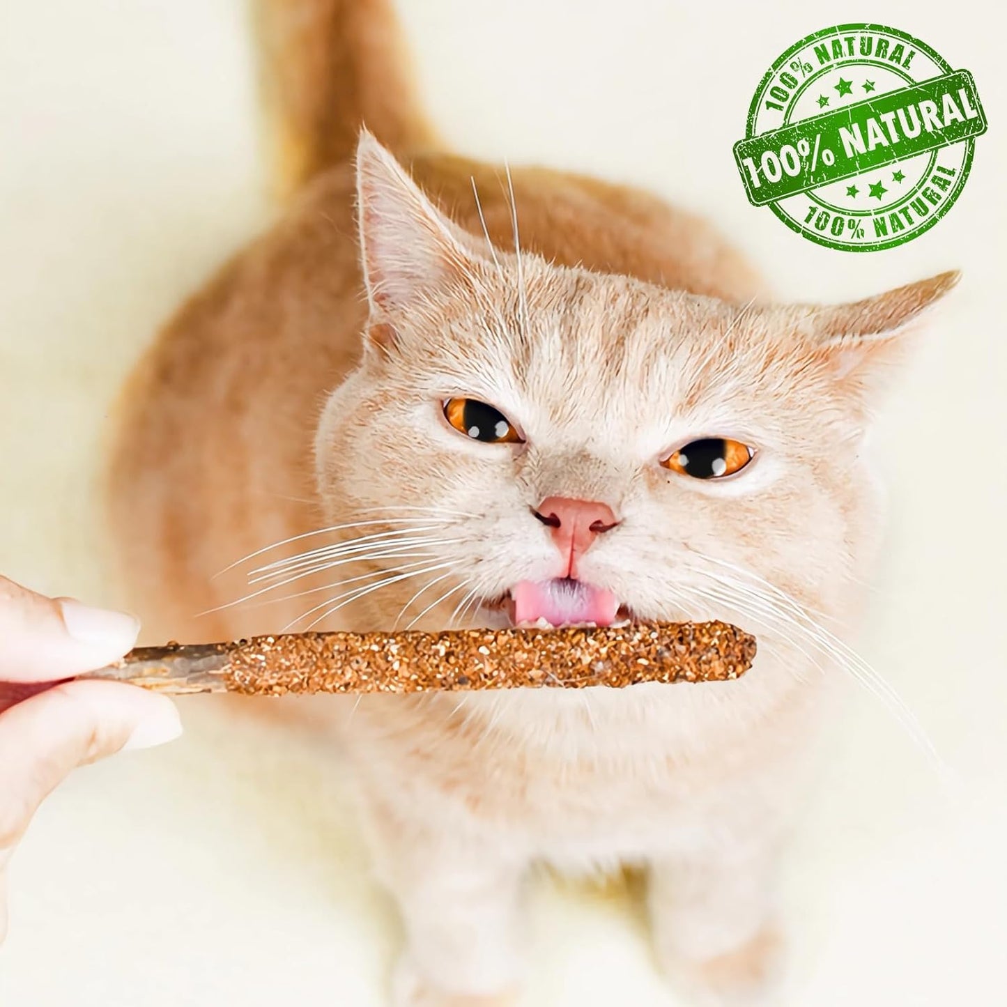 Natural Silvervine Catnip Chew Sticks (12 PC) - Edible Dental Chews for Cats & Kittens, Teething Relief Teeth Cleaning Toys