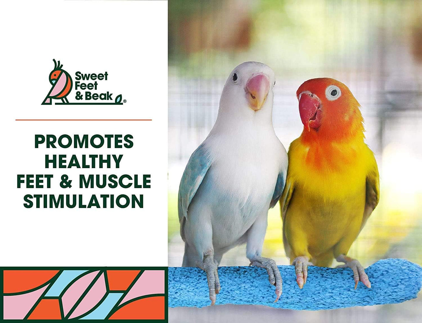 Comfort Grip Safety Perch for Bird Cages - Pedicure Perch for Birds to Keep Nails and Beaks in Top Condition - Safe Easy to Install Bird Cage Accessories - XL 13.5"