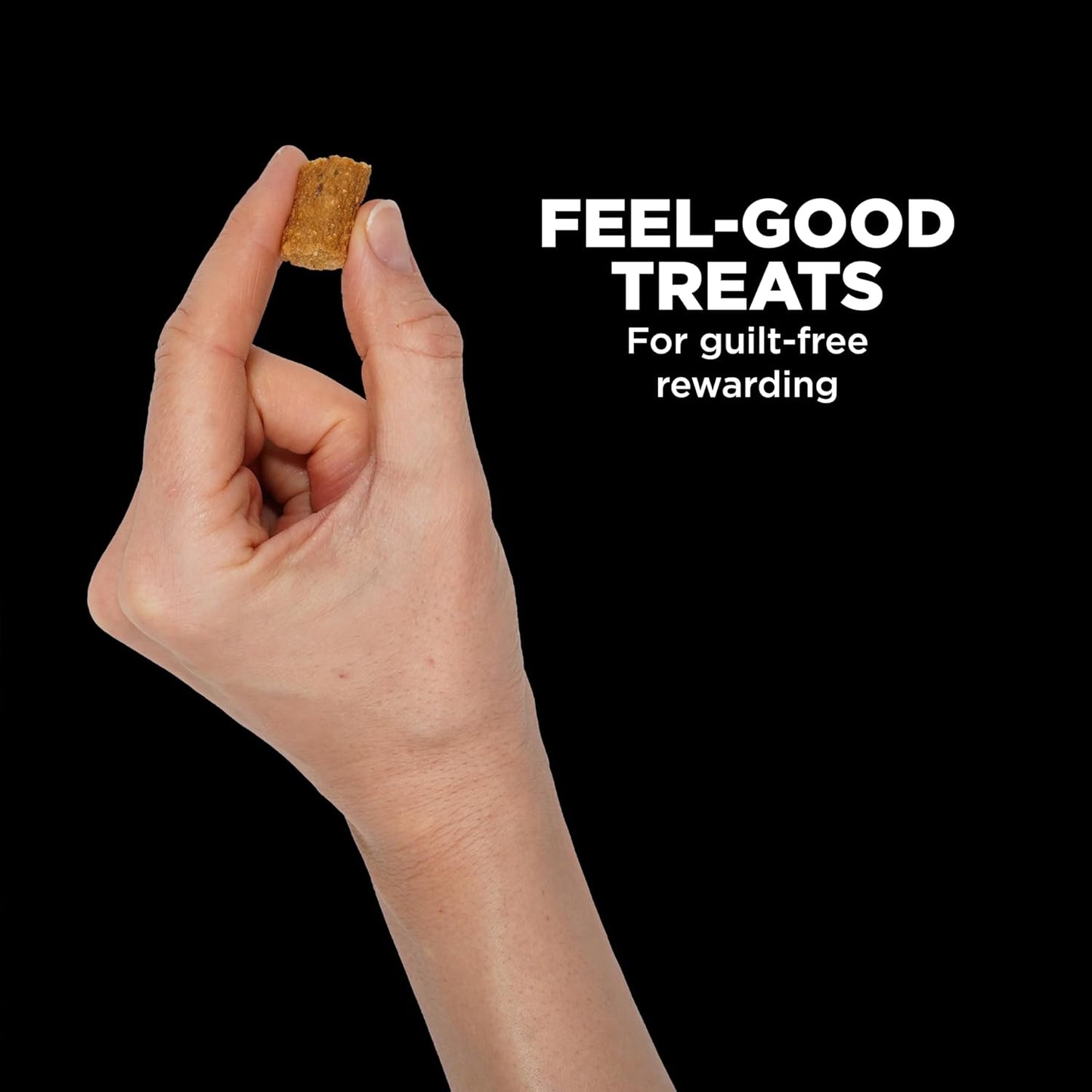 Go! Solutions Sensitivities - Limited Ingredient Dog Treats Salmon Recipe - Soft and Chewy Dog Treats, 6 oz Bag