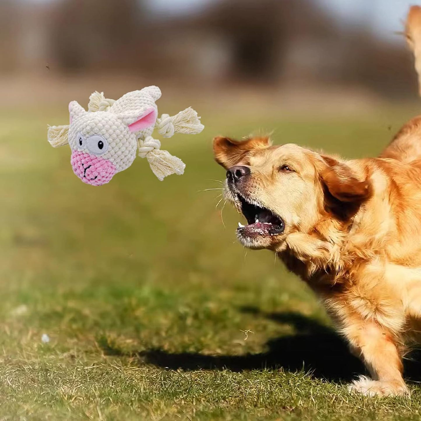 AIMETING Dog Toys, Durable Dog Chew Toys, Dog Squeak Toy with Fun Crinkle Paper, Plush Toys Suitable for Small, Medium, Large Dogs (Sheep)