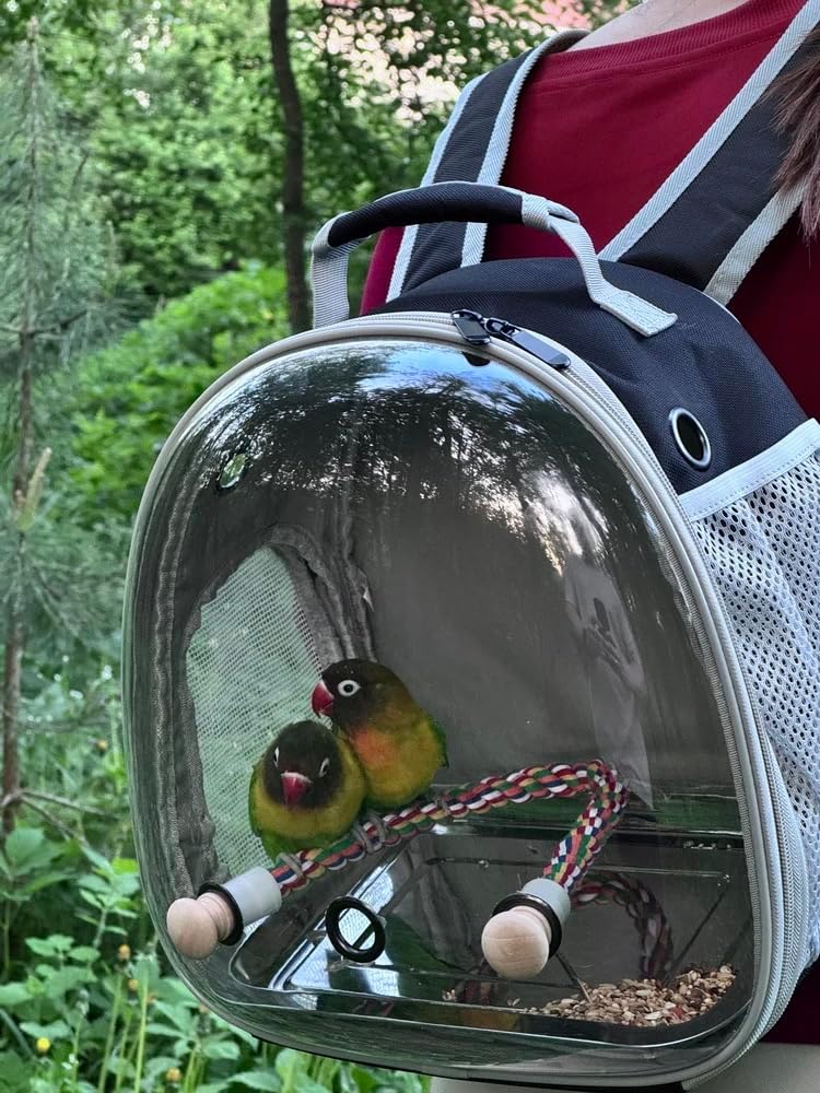 Small Bird Travel Backpack Carrier Cage, Backpack to Transport Backpack Carrier with Metal Tray Stand Perch for Parakeet Cockatiel Budgies Vet Carry Book Bag