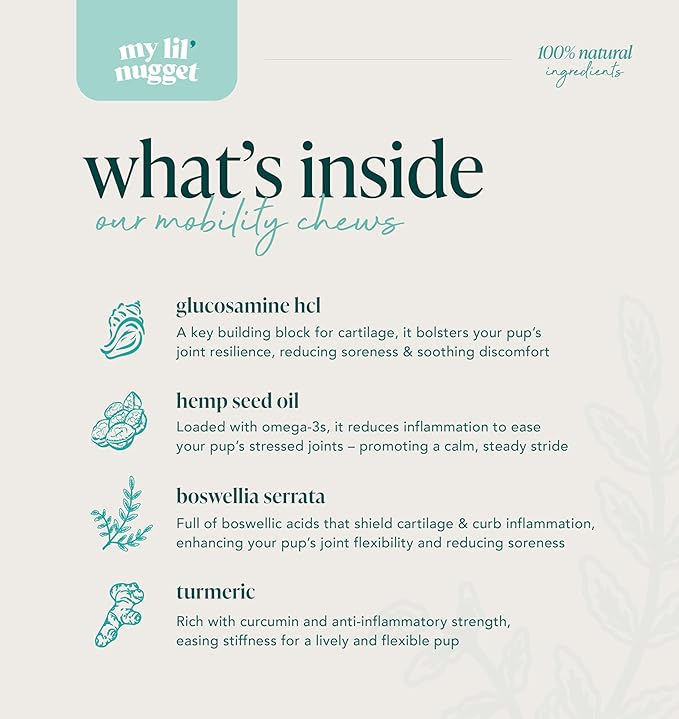 My Lil' Nugget - Natural Hip & Joint Supplement Chews for Dogs - Glucosamine, Hemp Seed & Chondroitin Mobility Support - Bacon Flavored - Soft Chews for All Ages - 90 Count