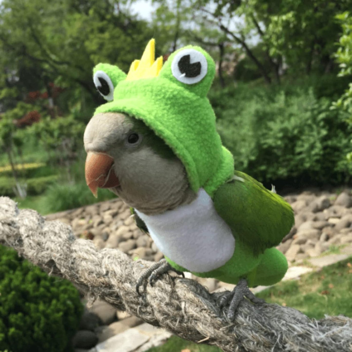 Bird Diaper Flight Suit Frog Shape Hoodie - Bird Clothes Cosplay Photo Prop for Parrots, Parakeet, Cockatiel & Sun Conure - Green with Diaper, Small