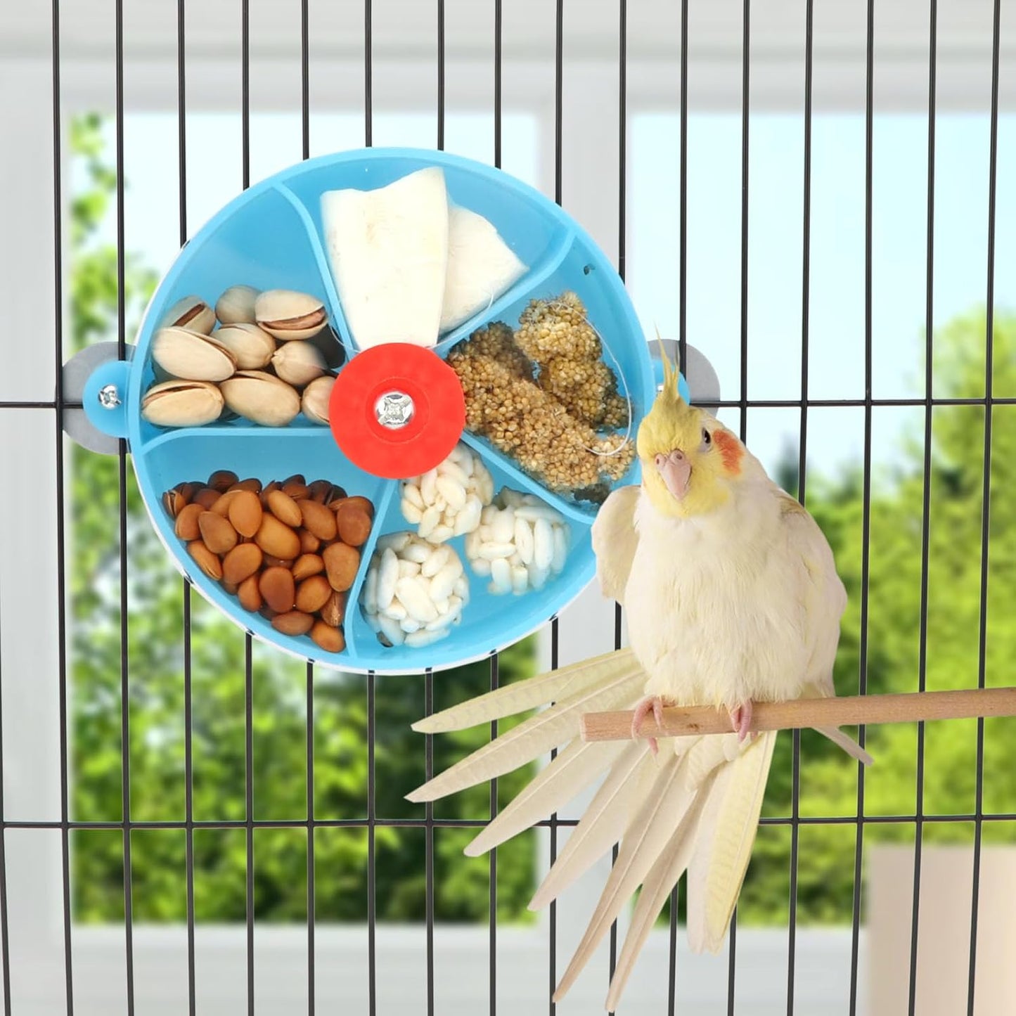 Bird Creative Foraging System Wheel Seed Food Ball Rotate Training Toy for Small and Medium Parrots Parakeet Cockatiel Conure (Blue)