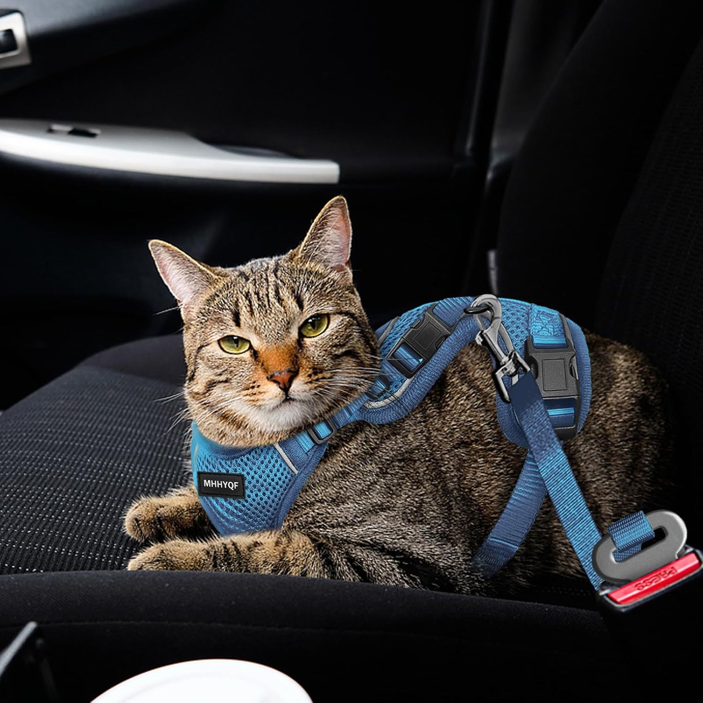 Cat Harness, Cat Harness and Leash for Walking, Escape Proof Soft Adjustable Vest Harnesses for Cats, Easy Control Breathable Reflective Strips Harness, Kitten Harness and Leash Set, Blue, S