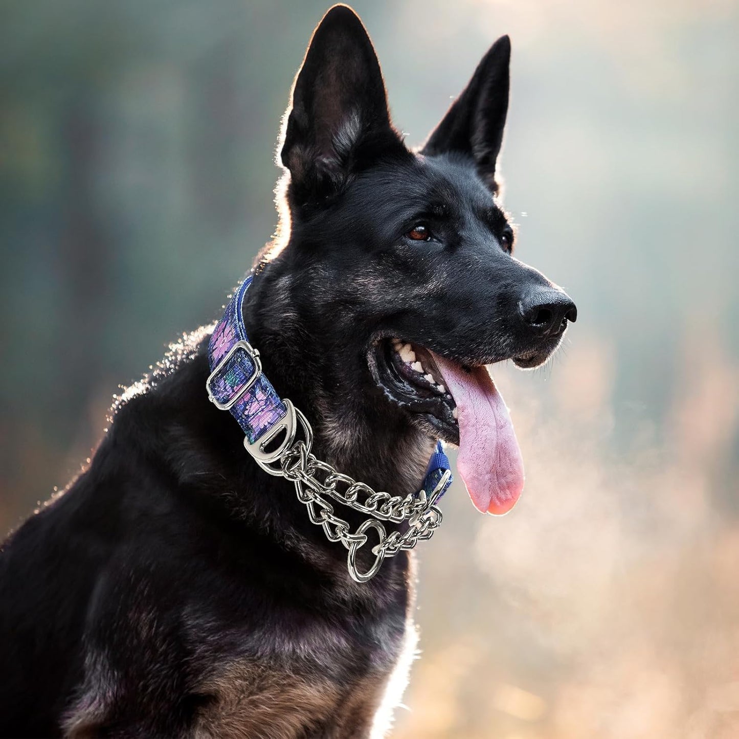 Martingale Dog Collar with Steel Chain, Reflective Choke Collar with Soft Padded- Adjustable No Pull with Bohemia Flower for Training Large Dogs Pet Collars for Walking（L