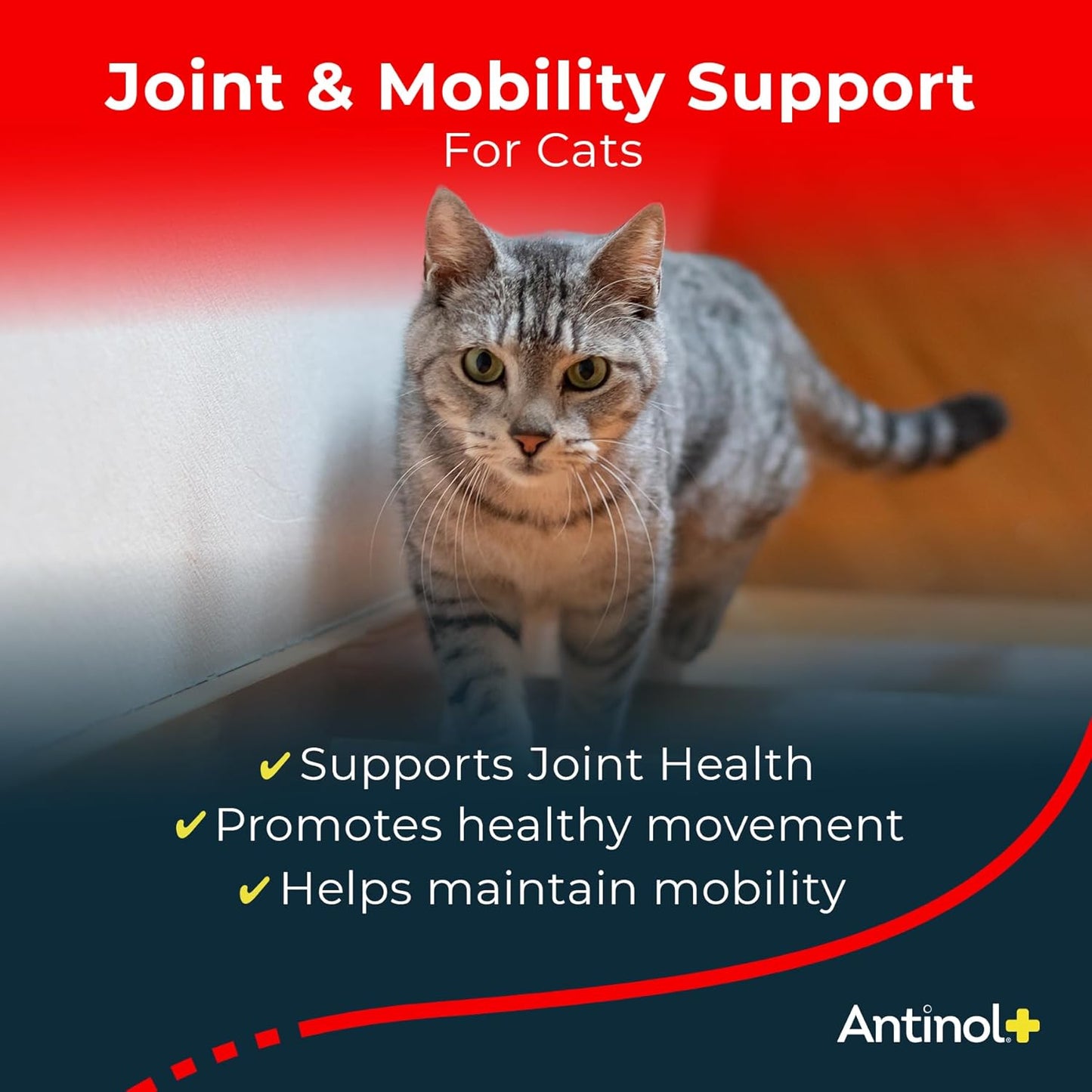 Antinol Plus, Mobility, Hip, and Joint Supplement for Cats, Green-Lipped Mussels and Krill Oil - Cat Joint Supplement, 60 Soft Gels