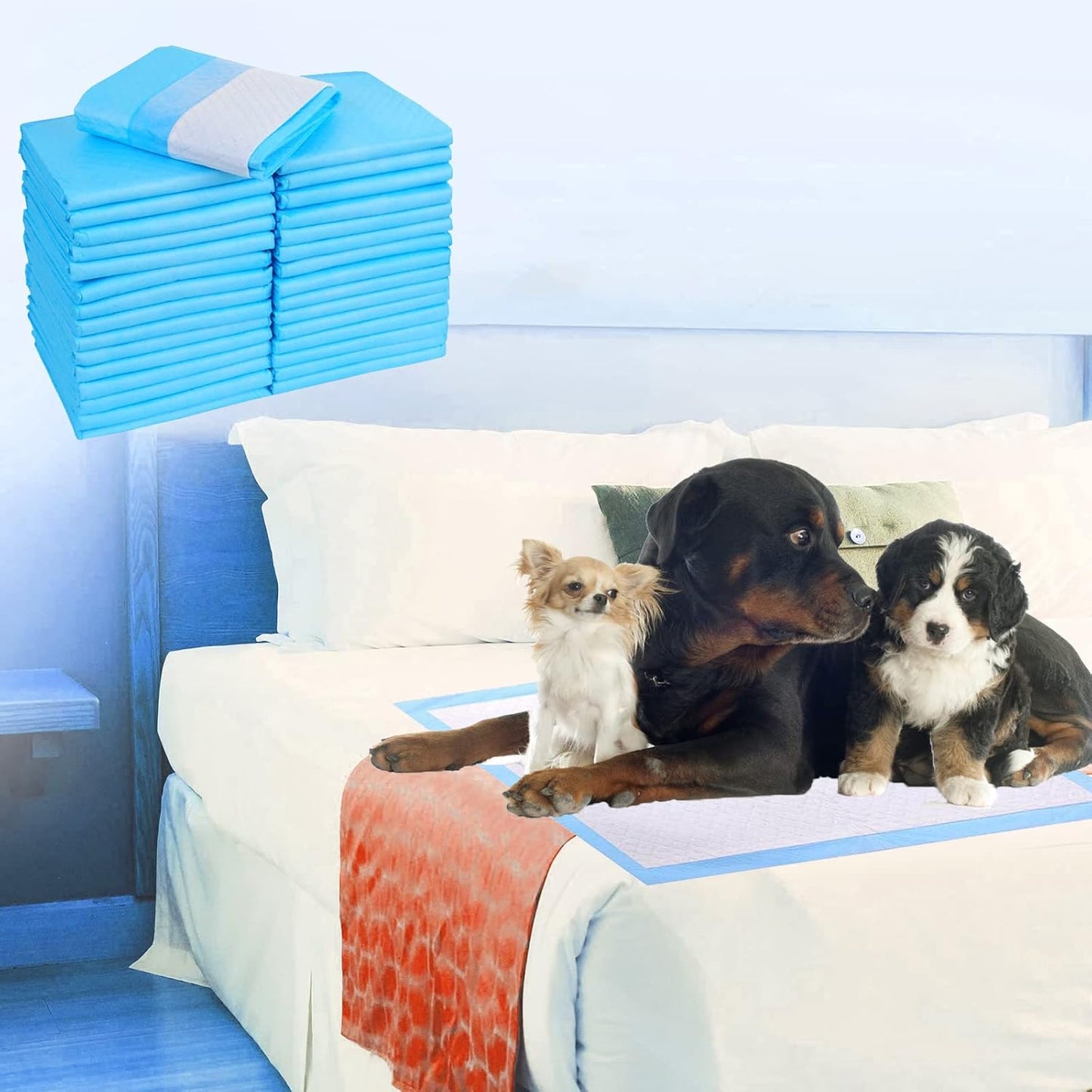 Extra Large Puppy Pads,36"x36" Pee Pads for Dogs,50 Count Training Dog Pee Pads Absorbent & Leak-Proof &Quick Dry,Disposable Pet Potty Pads for House Training Dogs Cats, Rabbits.