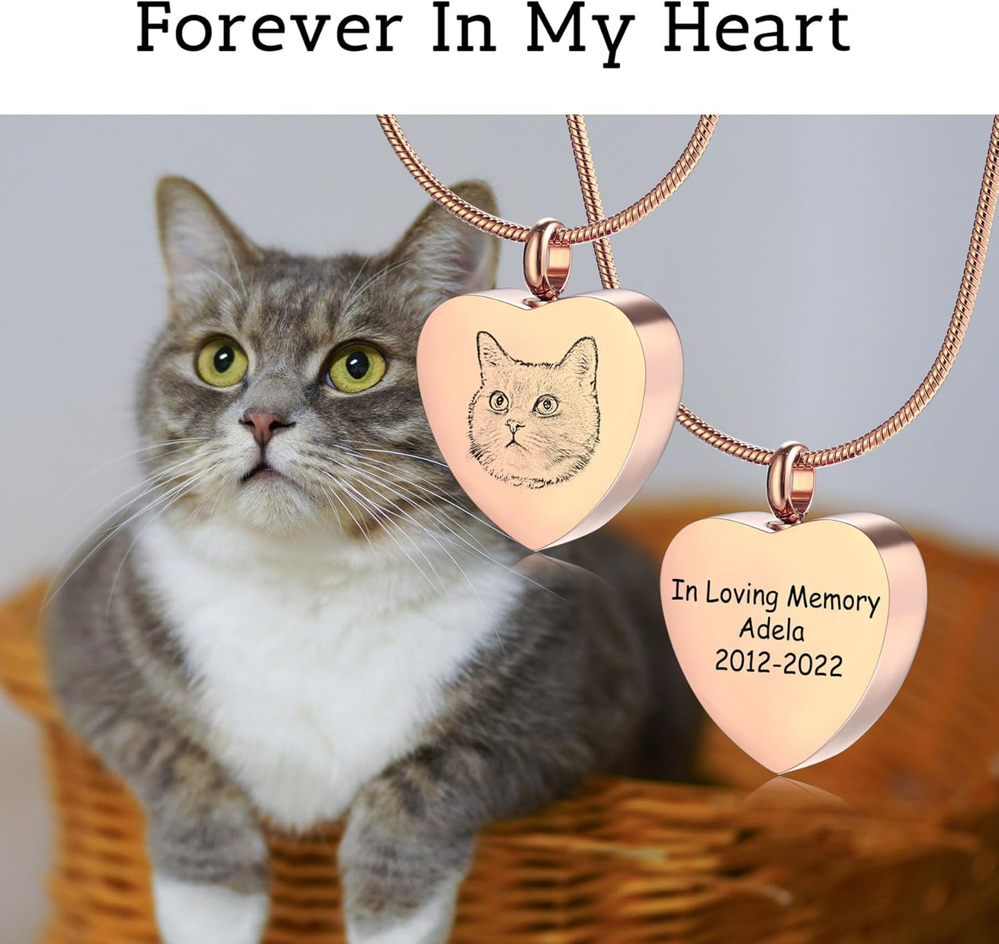 MeMeDIY Personalized Heart Paw Print Ashes Urn Pendant Necklace Custom Name/Photo/Date for Women Men Pet Lover Stainless Steel Memorial Dog Cat Pet Keepsake with Funnel Fill Kit Angel Wing